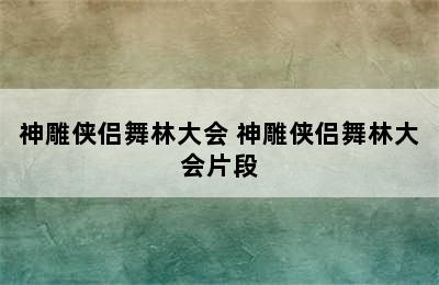 神雕侠侣舞林大会 神雕侠侣舞林大会片段